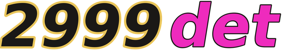 2999det logo